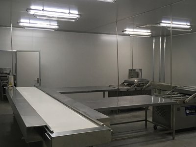 凈化車間工程中影響發(fā)塵量的原因分析