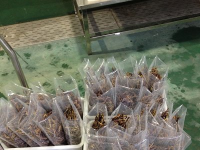 食品凈化車(chē)間在設(shè)計(jì)時(shí)需要考慮的問(wèn)題