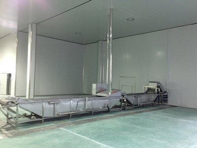 食品凈化車(chē)間如何凈化空氣?