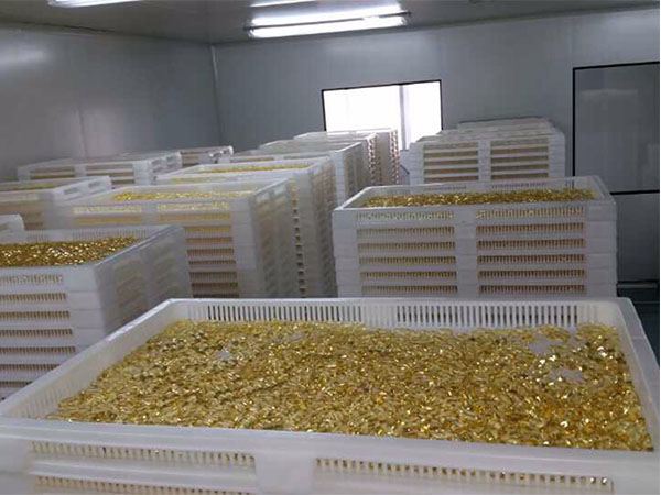 食品凈化車間清潔小竅門了解一下